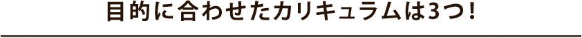 目的に合わせたカリキュラムは3つ！