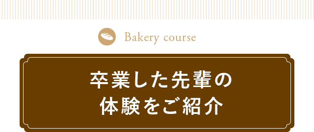卒業した先輩の体験をご紹介