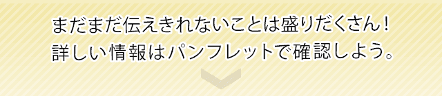 まだまだ伝えきれないことは盛りだくさん！　詳しい情報はパンフレットで確認しよう